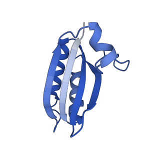 20208_6owf_CC_v1-2
Structure of a synthetic beta-carboxysome shell, T=3
