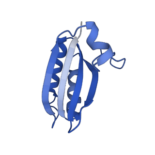 20208_6owf_CC_v1-3
Structure of a synthetic beta-carboxysome shell, T=3