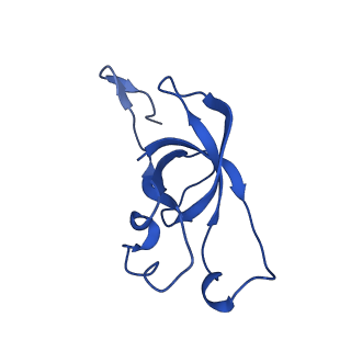 20208_6owf_CD_v1-2
Structure of a synthetic beta-carboxysome shell, T=3