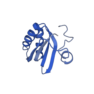 20208_6owf_CE_v1-2
Structure of a synthetic beta-carboxysome shell, T=3