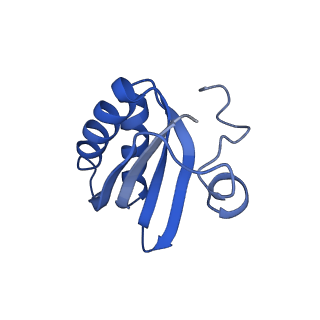 20208_6owf_CE_v1-3
Structure of a synthetic beta-carboxysome shell, T=3