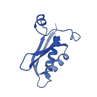 20208_6owf_CF_v1-2
Structure of a synthetic beta-carboxysome shell, T=3