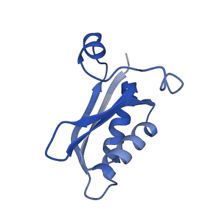 20208_6owf_CF_v1-3
Structure of a synthetic beta-carboxysome shell, T=3