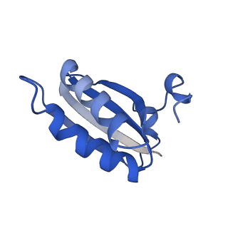20208_6owf_CH_v1-2
Structure of a synthetic beta-carboxysome shell, T=3