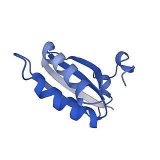 20208_6owf_CH_v1-3
Structure of a synthetic beta-carboxysome shell, T=3