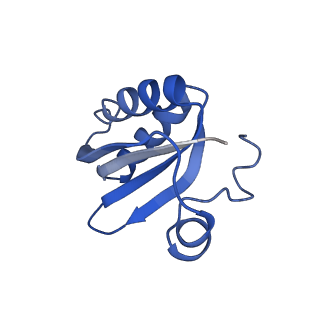 20208_6owf_CI_v1-2
Structure of a synthetic beta-carboxysome shell, T=3