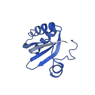 20208_6owf_CI_v1-3
Structure of a synthetic beta-carboxysome shell, T=3