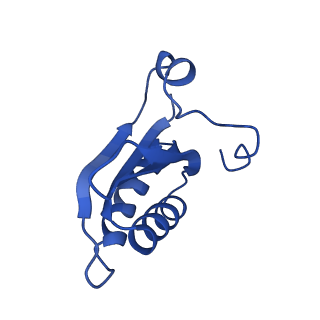 20208_6owf_CK_v1-2
Structure of a synthetic beta-carboxysome shell, T=3
