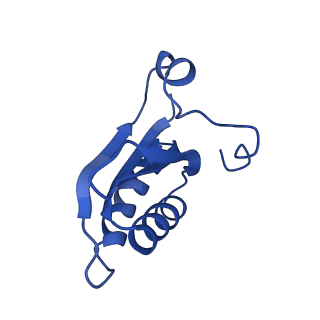 20208_6owf_CK_v1-3
Structure of a synthetic beta-carboxysome shell, T=3