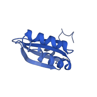 20208_6owf_CL_v1-2
Structure of a synthetic beta-carboxysome shell, T=3