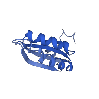 20208_6owf_CL_v1-3
Structure of a synthetic beta-carboxysome shell, T=3