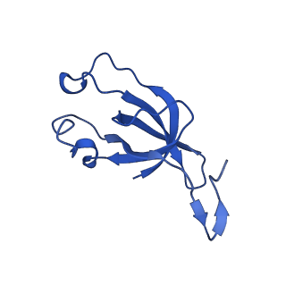 20208_6owf_CM_v1-2
Structure of a synthetic beta-carboxysome shell, T=3