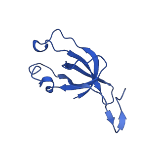 20208_6owf_CM_v1-3
Structure of a synthetic beta-carboxysome shell, T=3