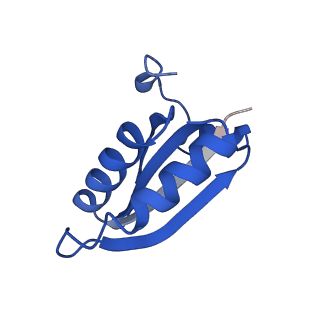 20208_6owf_CO_v1-2
Structure of a synthetic beta-carboxysome shell, T=3