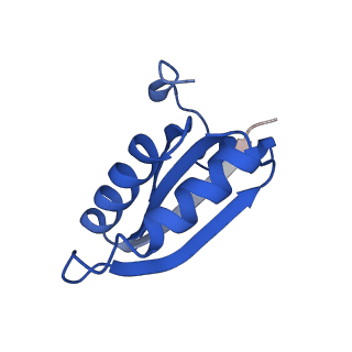 20208_6owf_CO_v1-3
Structure of a synthetic beta-carboxysome shell, T=3