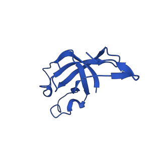 20208_6owf_CP_v1-2
Structure of a synthetic beta-carboxysome shell, T=3