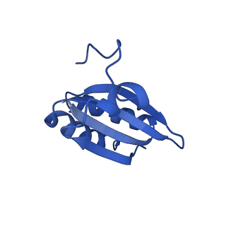 20208_6owf_CQ_v1-2
Structure of a synthetic beta-carboxysome shell, T=3