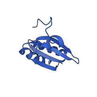 20208_6owf_CQ_v1-3
Structure of a synthetic beta-carboxysome shell, T=3