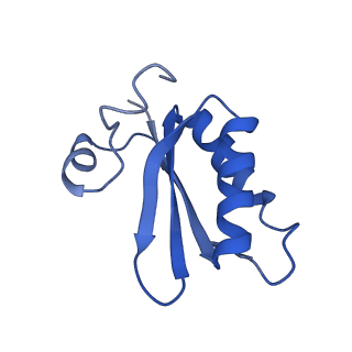 20208_6owf_CR_v1-2
Structure of a synthetic beta-carboxysome shell, T=3