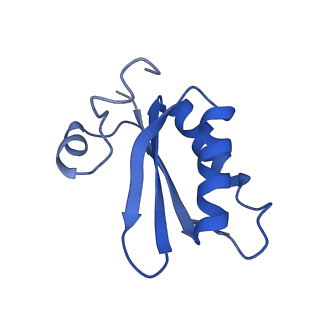 20208_6owf_CR_v1-3
Structure of a synthetic beta-carboxysome shell, T=3