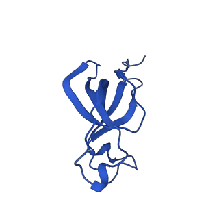 20208_6owf_CS_v1-3
Structure of a synthetic beta-carboxysome shell, T=3