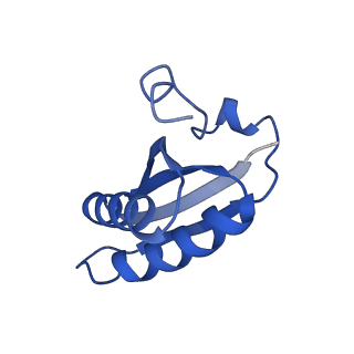 20208_6owf_CT_v1-2
Structure of a synthetic beta-carboxysome shell, T=3
