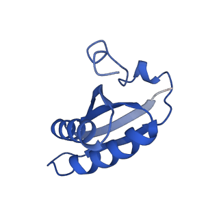 20208_6owf_CT_v1-3
Structure of a synthetic beta-carboxysome shell, T=3