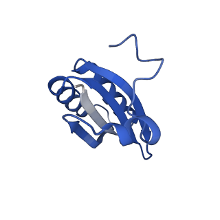 20208_6owf_CU_v1-2
Structure of a synthetic beta-carboxysome shell, T=3