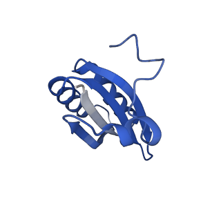 20208_6owf_CU_v1-3
Structure of a synthetic beta-carboxysome shell, T=3