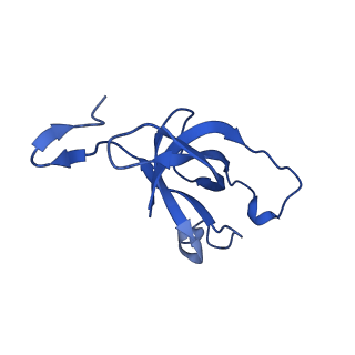 20208_6owf_CV_v1-2
Structure of a synthetic beta-carboxysome shell, T=3