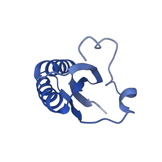 20208_6owf_CW_v1-3
Structure of a synthetic beta-carboxysome shell, T=3