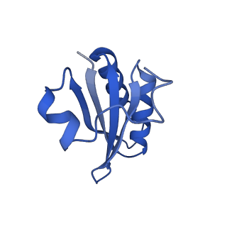 20208_6owf_CX_v1-2
Structure of a synthetic beta-carboxysome shell, T=3