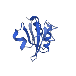 20208_6owf_CX_v1-3
Structure of a synthetic beta-carboxysome shell, T=3