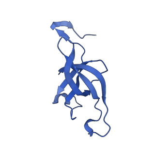 20208_6owf_CY_v1-2
Structure of a synthetic beta-carboxysome shell, T=3