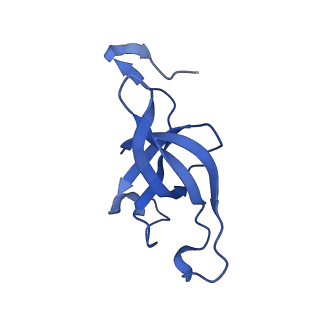 20208_6owf_CY_v1-3
Structure of a synthetic beta-carboxysome shell, T=3