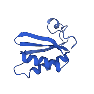 20208_6owf_CZ_v1-2
Structure of a synthetic beta-carboxysome shell, T=3