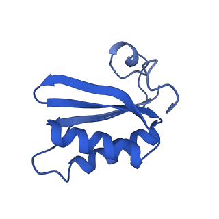 20208_6owf_CZ_v1-3
Structure of a synthetic beta-carboxysome shell, T=3