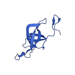 20208_6owf_C_v1-3
Structure of a synthetic beta-carboxysome shell, T=3