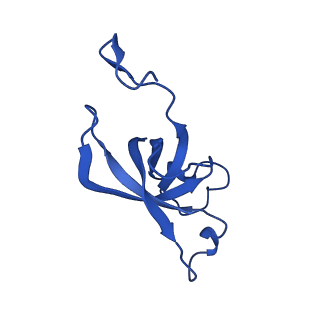 20208_6owf_DA_v1-2
Structure of a synthetic beta-carboxysome shell, T=3
