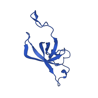 20208_6owf_DA_v1-3
Structure of a synthetic beta-carboxysome shell, T=3