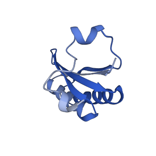 20208_6owf_DB_v1-2
Structure of a synthetic beta-carboxysome shell, T=3