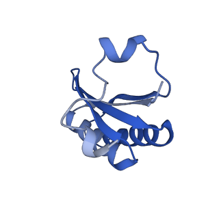 20208_6owf_DB_v1-3
Structure of a synthetic beta-carboxysome shell, T=3