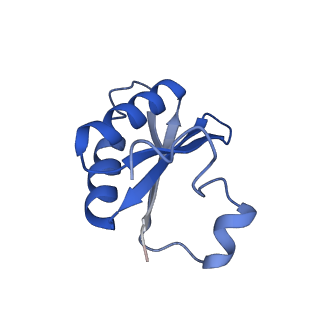 20208_6owf_DC_v1-2
Structure of a synthetic beta-carboxysome shell, T=3