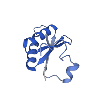 20208_6owf_DC_v1-3
Structure of a synthetic beta-carboxysome shell, T=3