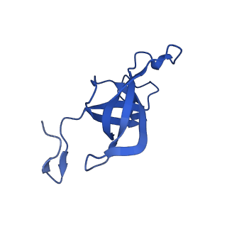 20208_6owf_DD_v1-2
Structure of a synthetic beta-carboxysome shell, T=3