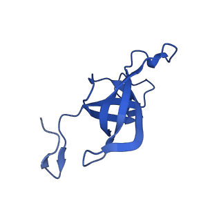 20208_6owf_DD_v1-3
Structure of a synthetic beta-carboxysome shell, T=3