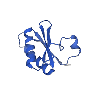 20208_6owf_DE_v1-2
Structure of a synthetic beta-carboxysome shell, T=3