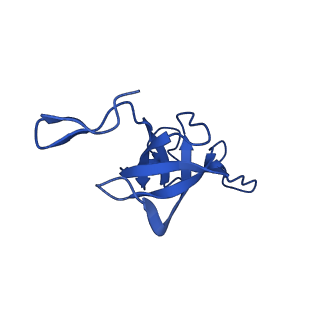 20208_6owf_DG_v1-2
Structure of a synthetic beta-carboxysome shell, T=3