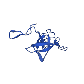 20208_6owf_DG_v1-3
Structure of a synthetic beta-carboxysome shell, T=3