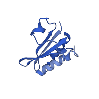 20208_6owf_DH_v1-2
Structure of a synthetic beta-carboxysome shell, T=3